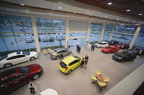 廣匯停牌 誰(shuí)在顛覆汽車銷售 新汽車十年