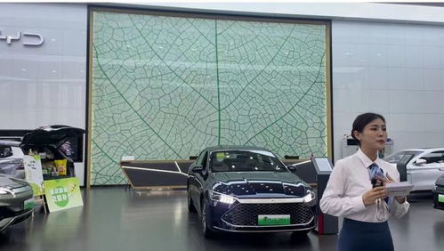 比亞迪超大眾登頂中國汽車銷量第一 小編探店看看是否名不符實